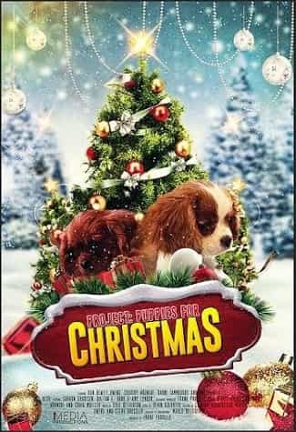 Project: Puppies For Christmas